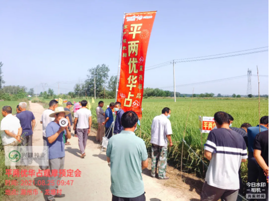 新興隆，新氣象，新未來—記滁州市平兩優(yōu)華占觀摩預(yù)訂會