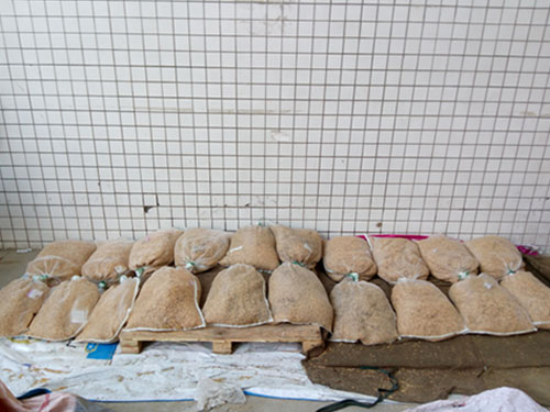 湖南興隆種業(yè)有限公司,長沙稻谷種植與銷售,長沙農作物品種的選育,長沙農業(yè)病蟲害防治服務