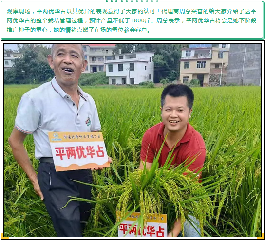 湖南興隆種業(yè)有限公司,長沙稻谷種植與銷售,長沙農(nóng)作物品種的選育,長沙農(nóng)業(yè)病蟲害防治服務(wù)