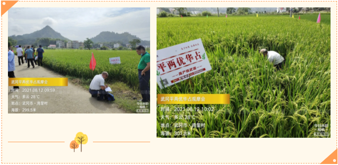 湖南興隆種業(yè)有限公司,長沙稻谷種植與銷售,長沙農(nóng)作物品種的選育,長沙農(nóng)業(yè)病蟲害防治服務