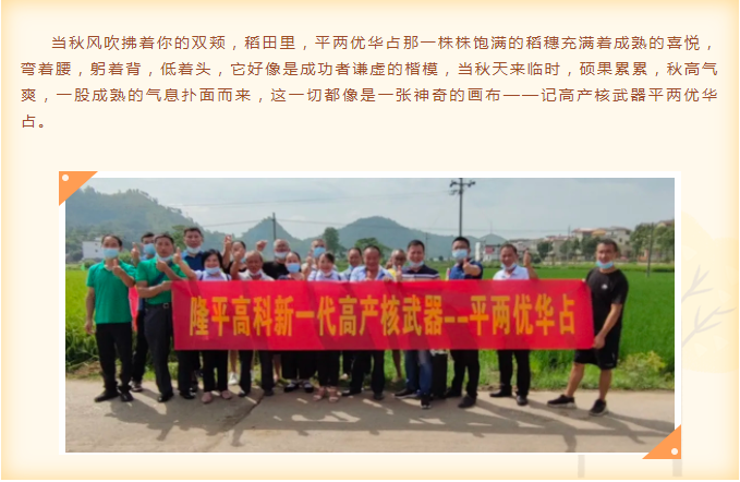 湖南興隆種業(yè)有限公司,長沙稻谷種植與銷售,長沙農(nóng)作物品種的選育,長沙農(nóng)業(yè)病蟲害防治服務