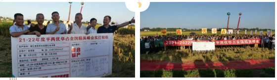 湖南興隆種業(yè)有限公司,長沙稻谷種植與銷售,長沙農作物品種的選育,長沙農業(yè)病蟲害防治服務