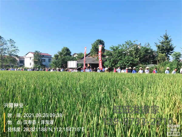 湖南興隆種業(yè)有限公司,長(zhǎng)沙稻谷種植與銷售,長(zhǎng)沙農(nóng)作物品種的選育,長(zhǎng)沙農(nóng)業(yè)病蟲(chóng)害防治服務(wù) 湖南興隆種業(yè)有限公司,長(zhǎng)沙稻谷種植與銷售,長(zhǎng)沙農(nóng)作物品種的選育,長(zhǎng)沙農(nóng)業(yè)病蟲(chóng)害防治服務(wù)