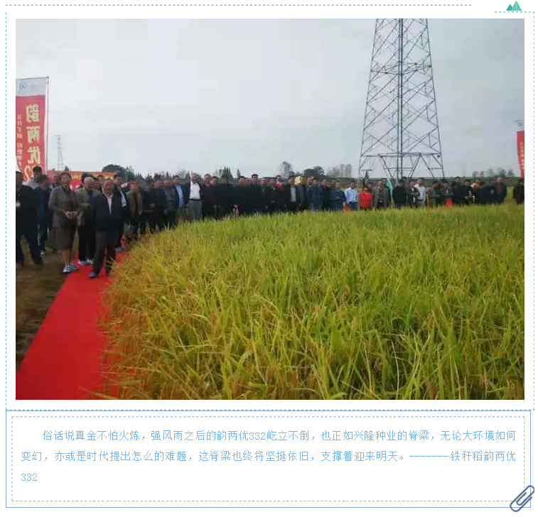 湖南逸華電源有限公司_直流屏定制廠家_UPS免維護(hù)鉛酸蓄電池供應(yīng)_電力模塊廠商