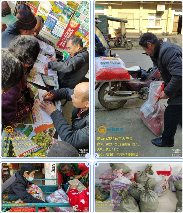 湖南興隆種業(yè)有限公司,長沙稻谷種植與銷售,長沙農(nóng)作物品種的選育,長沙農(nóng)業(yè)病蟲害防治服務(wù) 湖南興隆種業(yè)有限公司,長沙稻谷種植與銷售,長沙農(nóng)作物品種的選育,長沙農(nóng)業(yè)病蟲害防治服務(wù)