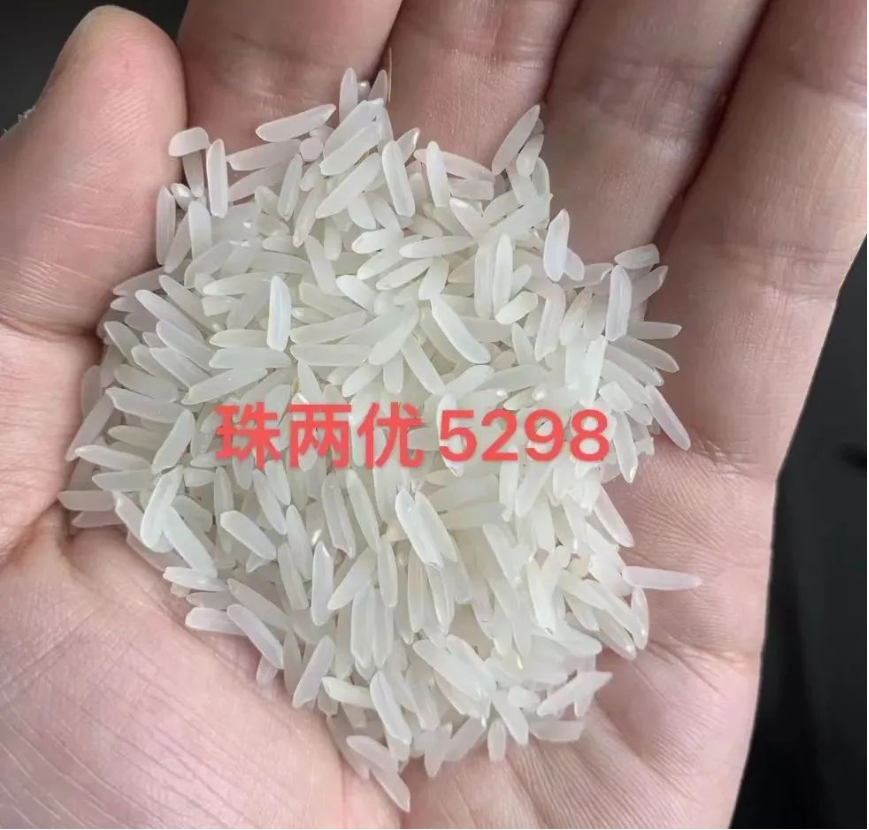 湖南興隆種業(yè)有限公司,長沙稻谷種植與銷售,長沙農(nóng)作物品種的選育,長沙農(nóng)業(yè)病蟲害防治服務(wù) 湖南興隆種業(yè)有限公司,長沙稻谷種植與銷售,長沙農(nóng)作物品種的選育,長沙農(nóng)業(yè)病蟲害防治服務(wù)