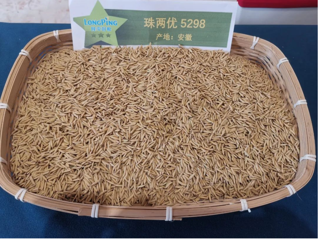 湖南興隆種業(yè)有限公司,長沙稻谷種植與銷售,長沙農(nóng)作物品種的選育,長沙農(nóng)業(yè)病蟲害防治服務(wù) 湖南興隆種業(yè)有限公司,長沙稻谷種植與銷售,長沙農(nóng)作物品種的選育,長沙農(nóng)業(yè)病蟲害防治服務(wù)