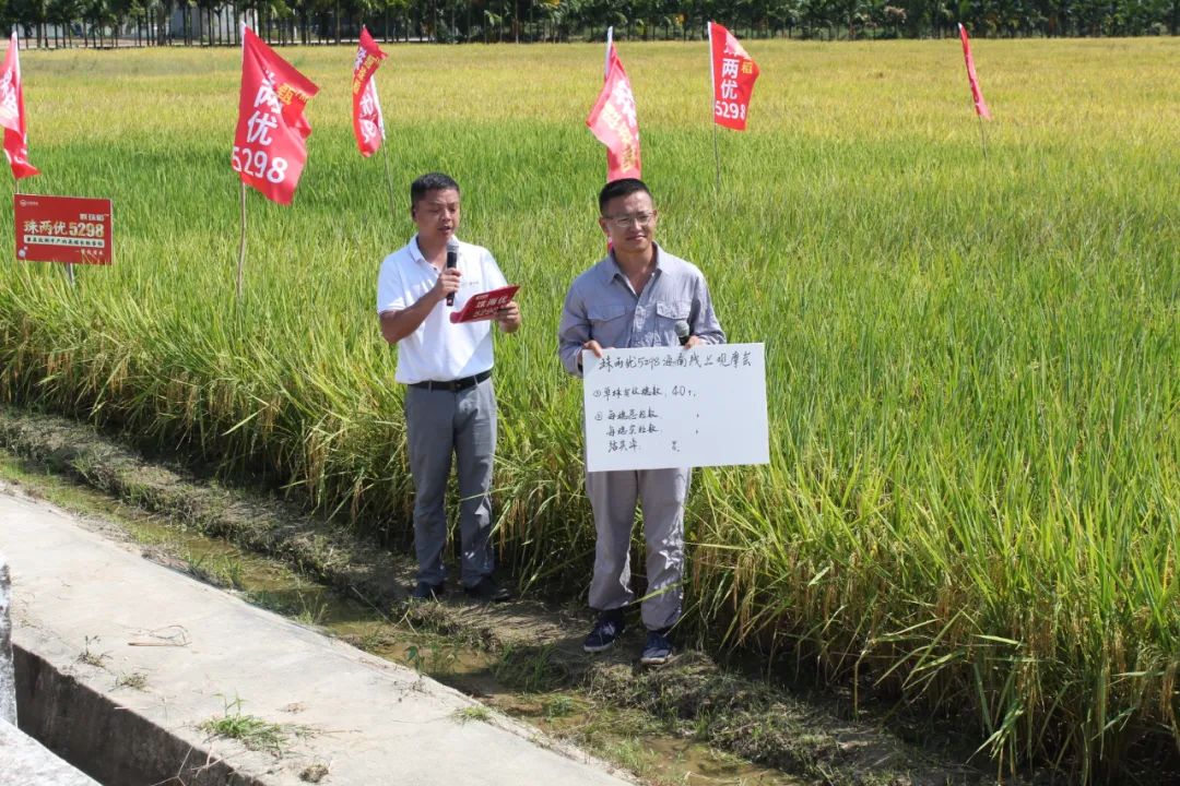 湖南興隆種業(yè)有限公司,長沙稻谷種植與銷售,長沙農作物品種的選育,長沙農業(yè)病蟲害防治服務 湖南興隆種業(yè)有限公司,長沙稻谷種植與銷售,長沙農作物品種的選育,長沙農業(yè)病蟲害防治服務