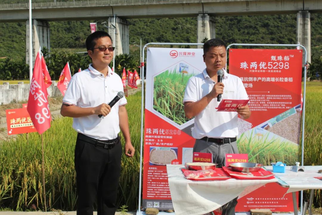 湖南興隆種業(yè)有限公司,長沙稻谷種植與銷售,長沙農作物品種的選育,長沙農業(yè)病蟲害防治服務 湖南興隆種業(yè)有限公司,長沙稻谷種植與銷售,長沙農作物品種的選育,長沙農業(yè)病蟲害防治服務