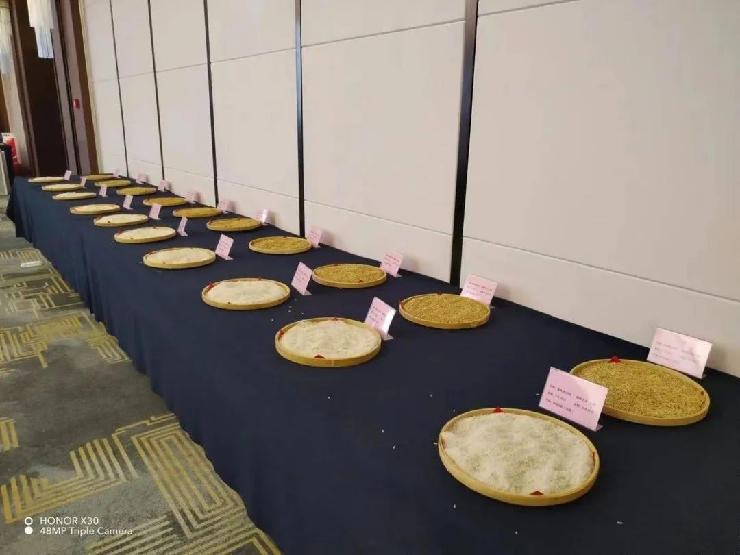 湖南興隆種業(yè)有限公司,長沙稻谷種植與銷售,長沙農(nóng)作物品種的選育,長沙農(nóng)業(yè)病蟲害防治服務(wù)