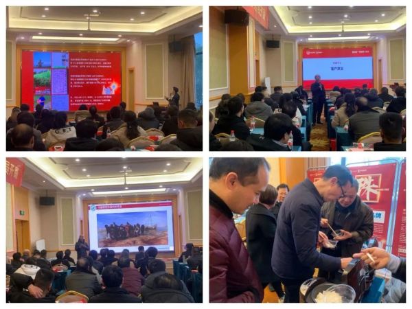 湖南興隆種業(yè)有限公司,長沙稻谷種植與銷售,長沙農作物品種的選育,長沙農業(yè)病蟲害防治服務