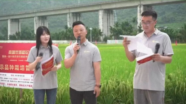 湖南興隆種業(yè)有限公司,長沙稻谷種植與銷售,長沙農(nóng)作物品種的選育,長沙農(nóng)業(yè)病蟲害防治服務(wù)