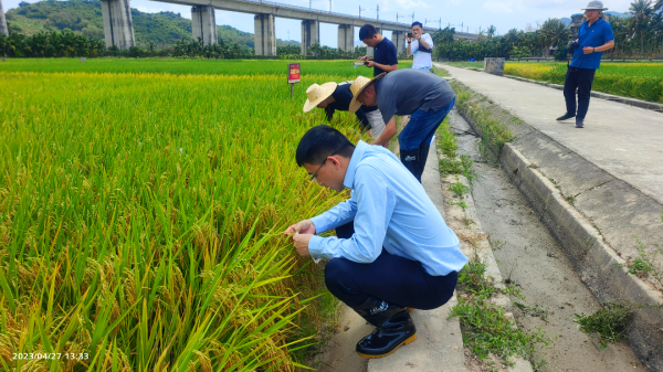 湖南興隆種業(yè)有限公司,長沙稻谷種植與銷售,長沙農(nóng)作物品種的選育,長沙農(nóng)業(yè)病蟲害防治服務(wù)