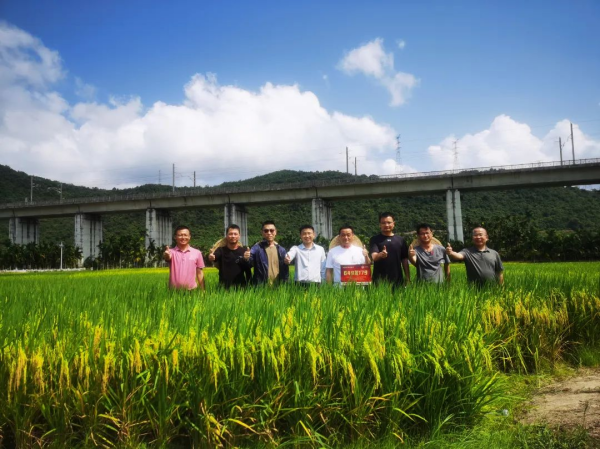 湖南興隆種業(yè)有限公司,長沙稻谷種植與銷售,長沙農(nóng)作物品種的選育,長沙農(nóng)業(yè)病蟲害防治服務(wù)