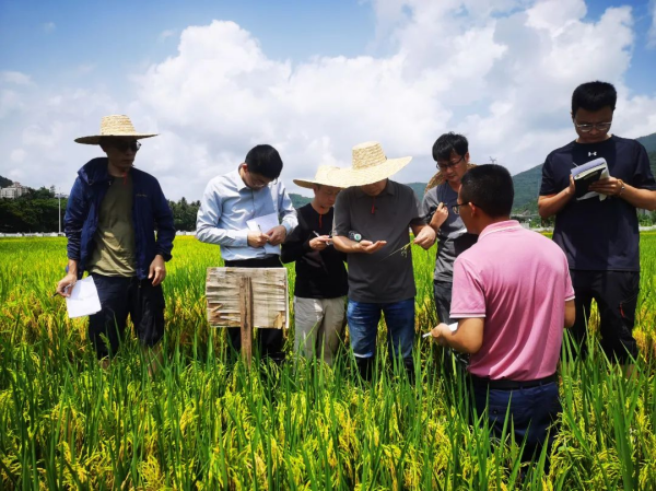湖南興隆種業(yè)有限公司,長沙稻谷種植與銷售,長沙農(nóng)作物品種的選育,長沙農(nóng)業(yè)病蟲害防治服務(wù)