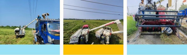 湖南興隆種業(yè)有限公司,長沙稻谷種植與銷售,長沙農(nóng)作物品種的選育,長沙農(nóng)業(yè)病蟲害防治服務(wù)