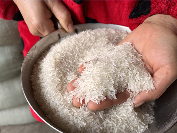 湖南興隆種業(yè)有限公司,長(zhǎng)沙稻谷種植與銷售,長(zhǎng)沙農(nóng)作物品種的選育,長(zhǎng)沙農(nóng)業(yè)病蟲害防治服務(wù)