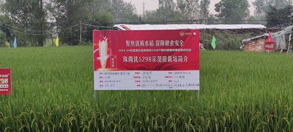 湖南興隆種業(yè)有限公司,長(zhǎng)沙稻谷種植與銷(xiāo)售,長(zhǎng)沙農(nóng)作物品種的選育,長(zhǎng)沙農(nóng)業(yè)病蟲(chóng)害防治服務(wù)