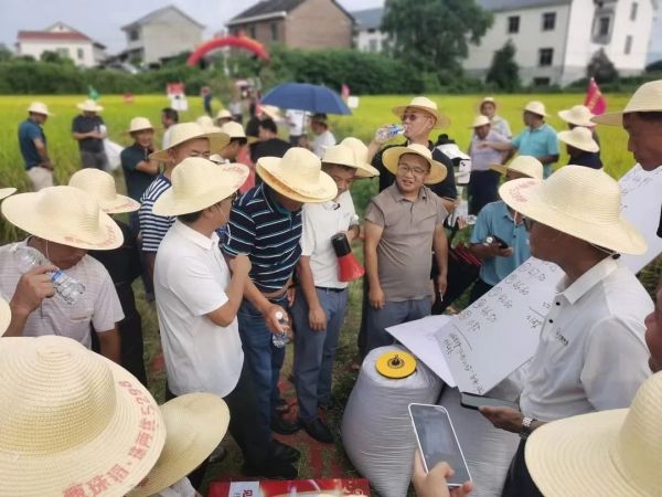 湖南興隆種業(yè)有限公司,長沙稻谷種植與銷售,長沙農(nóng)作物品種的選育,長沙農(nóng)業(yè)病蟲害防治服務(wù)