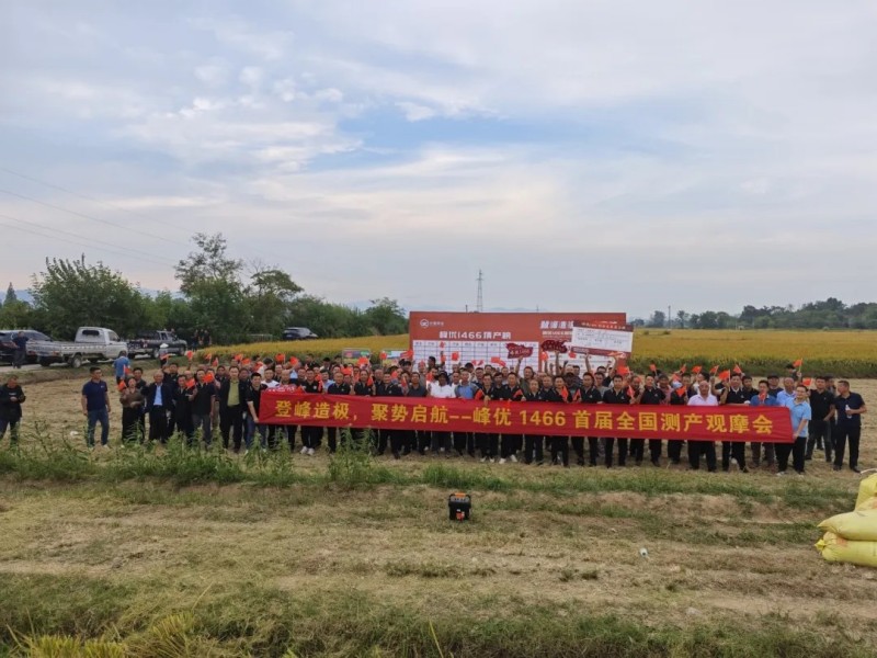 湖南興隆種業(yè)有限公司,長(zhǎng)沙稻谷種植與銷售,長(zhǎng)沙農(nóng)作物品種的選育,長(zhǎng)沙農(nóng)業(yè)病蟲害防治服務(wù)