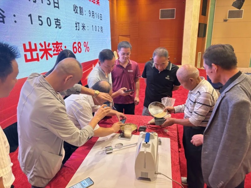 湖南興隆種業(yè)有限公司,長(zhǎng)沙稻谷種植與銷售,長(zhǎng)沙農(nóng)作物品種的選育,長(zhǎng)沙農(nóng)業(yè)病蟲害防治服務(wù)