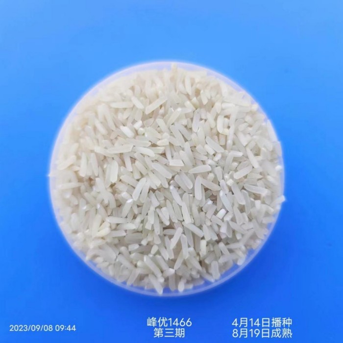 湖南興隆種業(yè)有限公司,長沙稻谷種植與銷售,長沙農(nóng)作物品種的選育,長沙農(nóng)業(yè)病蟲害防治服務(wù)