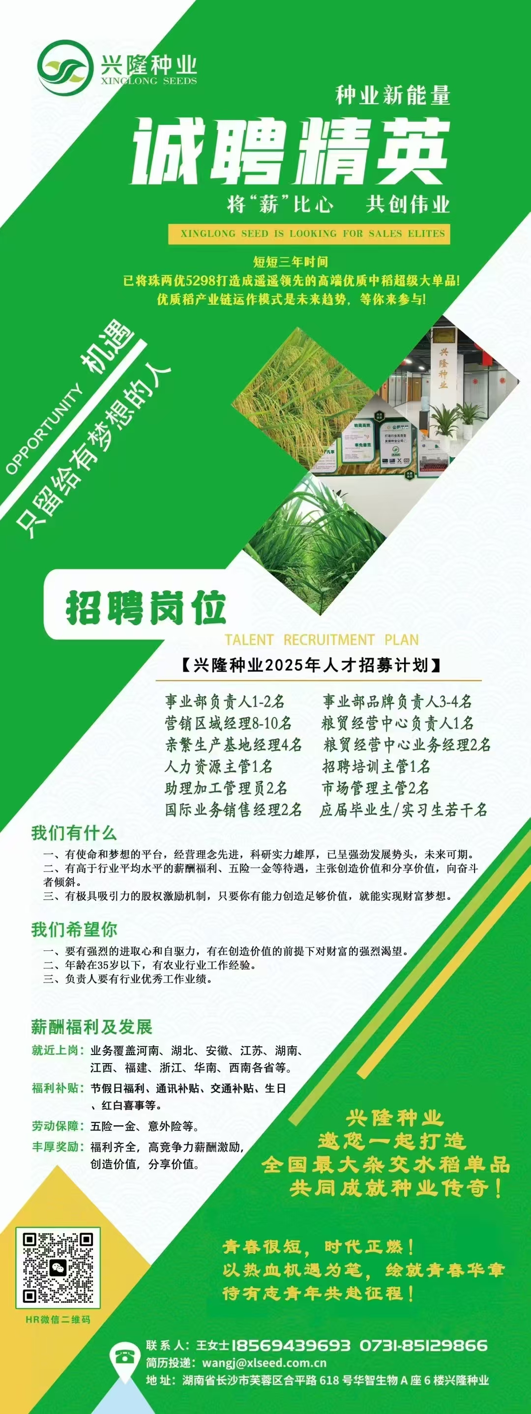 湖南興隆種業(yè)有限公司,長沙稻谷種植與銷售,長沙農(nóng)作物品種的選育,長沙農(nóng)業(yè)病蟲害防治服務(wù)