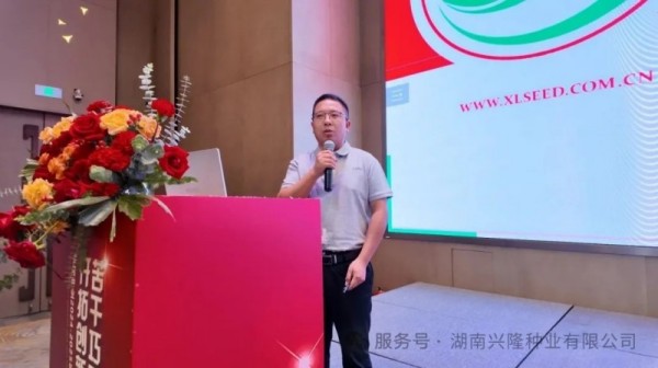 湖南興隆種業(yè)有限公司,長(zhǎng)沙稻谷種植與銷售,長(zhǎng)沙農(nóng)作物品種的選育,長(zhǎng)沙農(nóng)業(yè)病蟲害防治服務(wù)