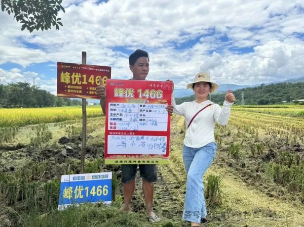 湖南興隆種業(yè)有限公司,長沙稻谷種植與銷售,長沙農(nóng)作物品種的選育,長沙農(nóng)業(yè)病蟲害防治服務(wù)